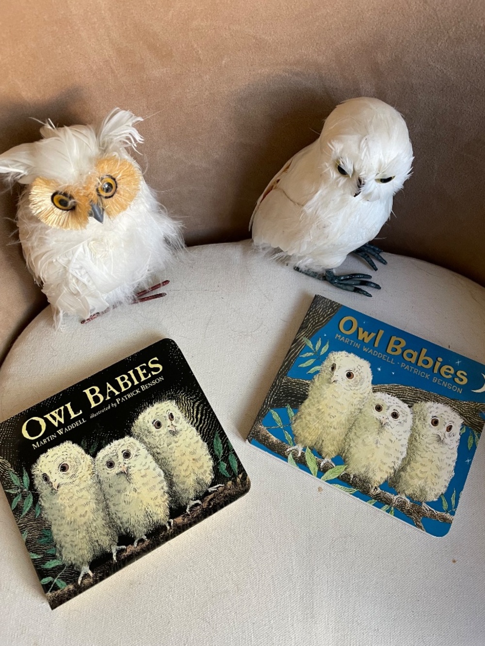 Owl Babies by Martin Waddell and Patrick Benson - Set of 2 Children's Books